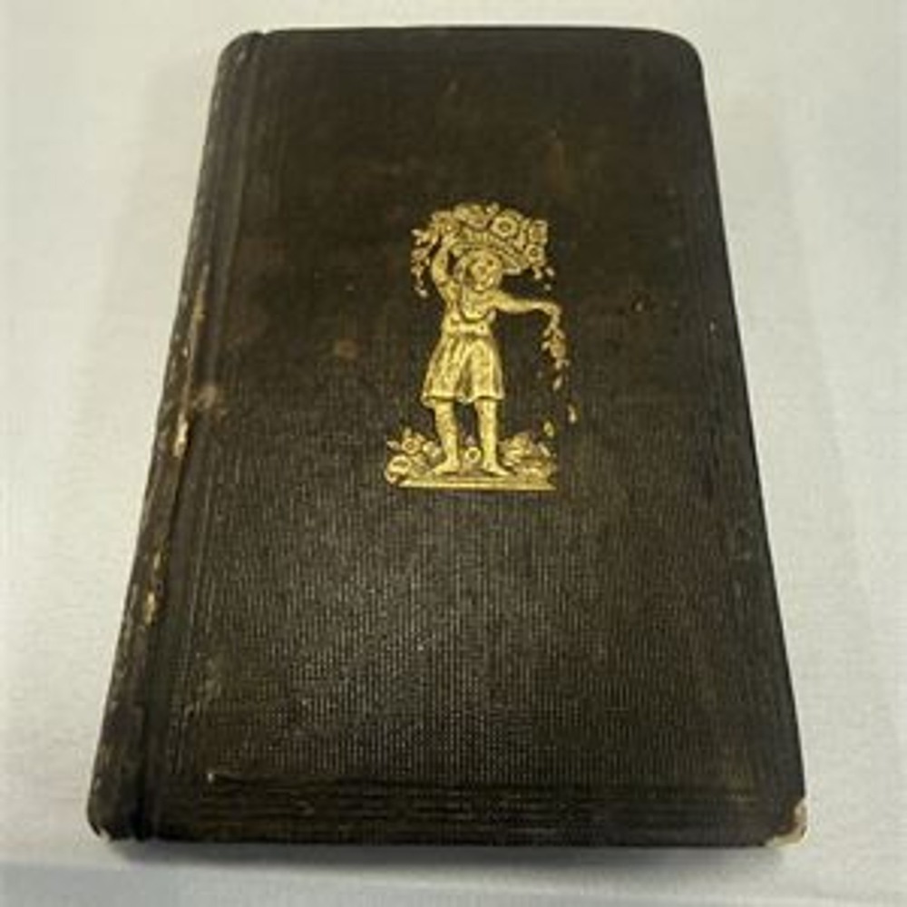 THE FLOWER VASE 1844 FIRST EDITION S.C.EDGARTON LANGUAGE OF FLOWERS-MINI